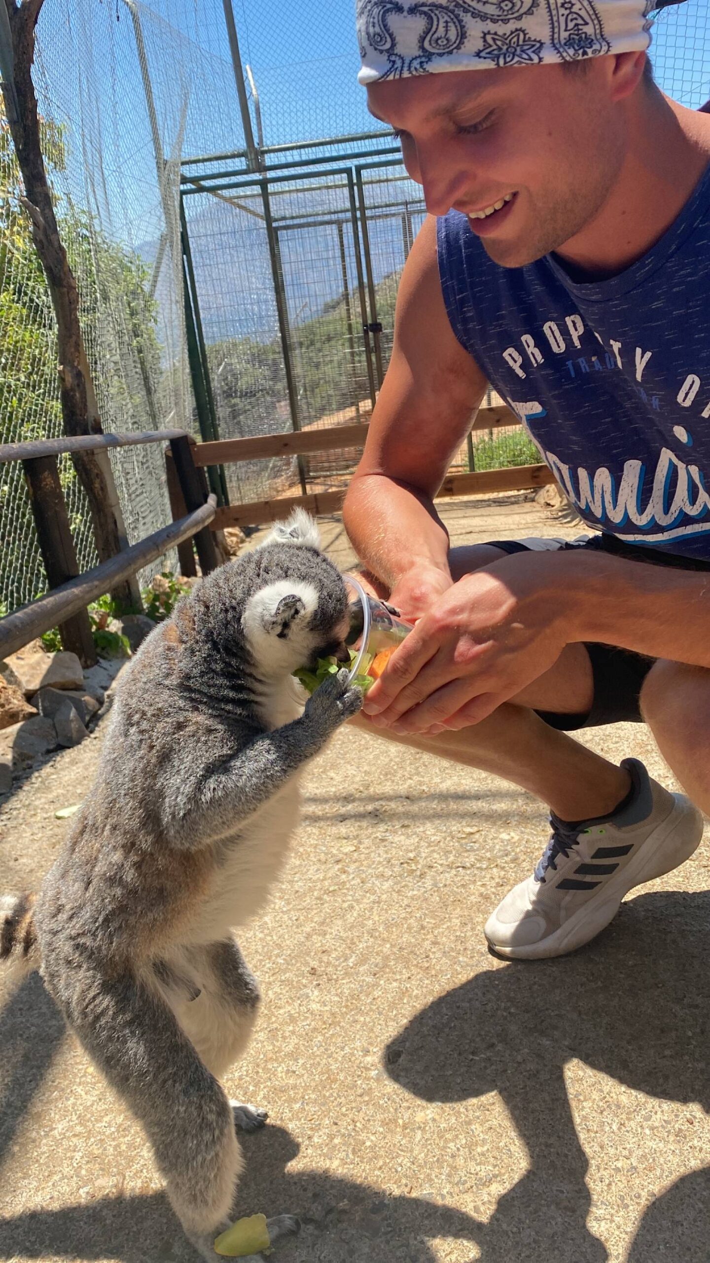 Karmienie lemurów w Amazonas Park na Krecie