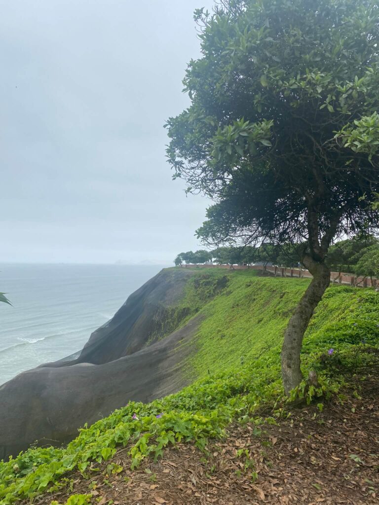 Lima Peru Ocean Spokojny Pacyfik