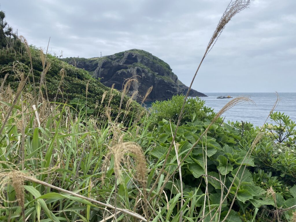 Wyspa Udo, Jeju Island, Korea Południowa